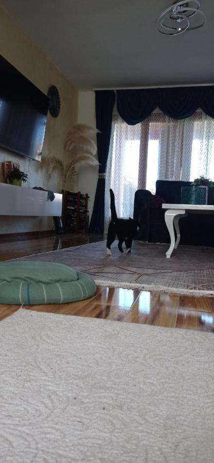 Topli Dom Apartman *